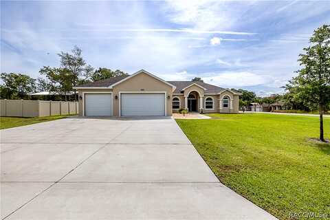 Kitty, WEEKI WACHEE, FL 34614