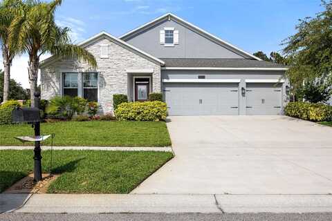Alenlon, MOUNT DORA, FL 32757