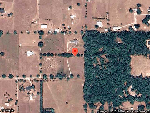 Florrie Mae, DADE CITY, FL 33523