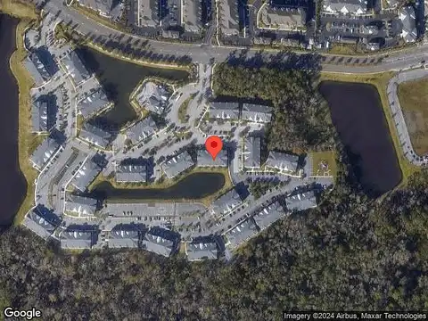 Green Parrot, JACKSONVILLE, FL 32256