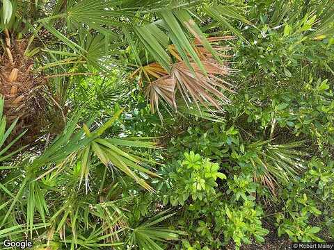 Hammock Isle, BONITA SPRINGS, FL 34134