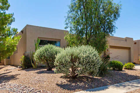 Sky Dancer, TUCSON, AZ 85742