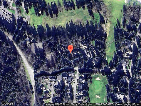 Snow Goose, BLAINE, WA 98230