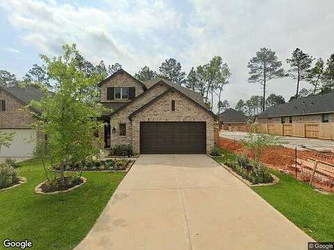 Lacebark Elm, WILLIS, TX 77318