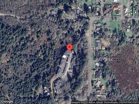 Willows, SEAVIEW, WA 98644