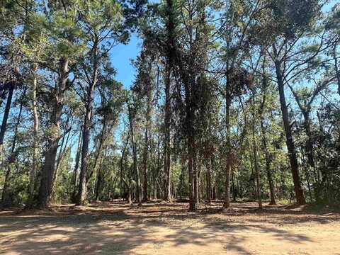 Masterson Ln, Tallahassee, FL 32311