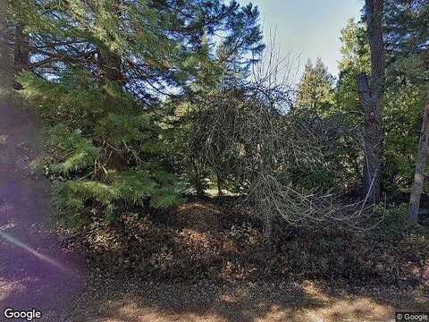 Big Basin, BOULDER CREEK, CA 95006