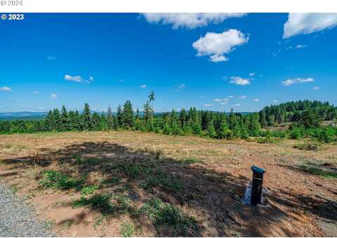 Silver Lake Rd #5, Castle Rock, WA 98611