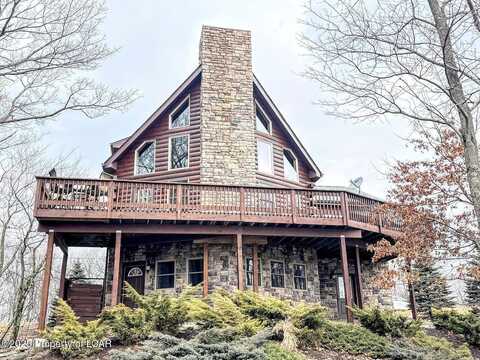 Buttonbush, HAZLETON, PA 18202