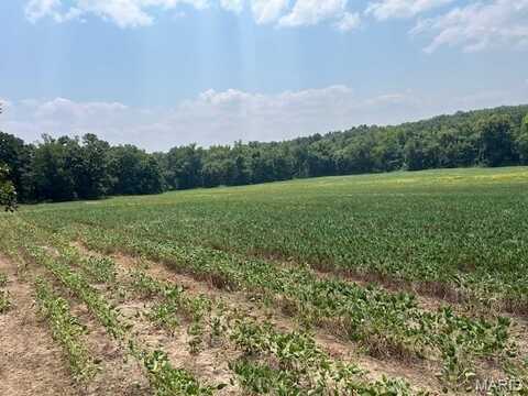 00 Elk Head Road, Bland, MO 65014