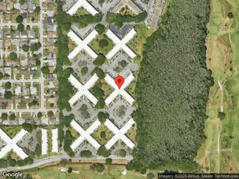 Persian, CLEARWATER, FL 33763