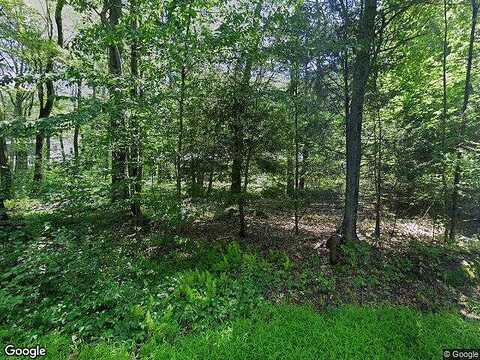 Old Mill Rd, Harvard, FL 32182