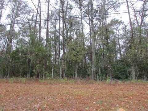 Hwy 19, Pelham, GA 31779