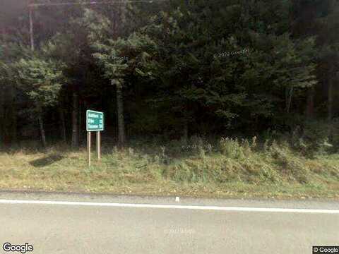 State Route 706 E Unit 1, Ashford, WA 98304
