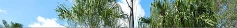 Se Wood Haven Lane, Jupiter, FL 33469
