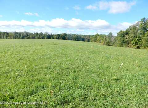 Spencer Hill, NICHOLSON, PA 18446