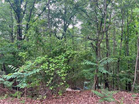 Old Atlanta Lot 3 Road, Suwanee, GA 30024