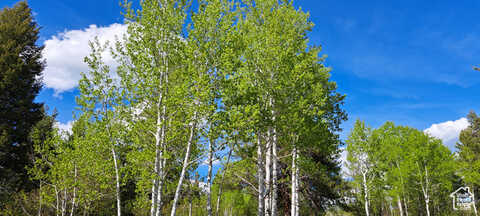 Granite, ASHTON, ID 83420