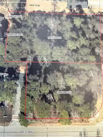 Wesley Pines, LUMBERTON, NC 28358