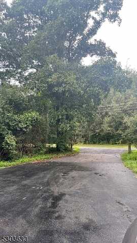 County Road 579, Alexandria Twp., NJ 08848