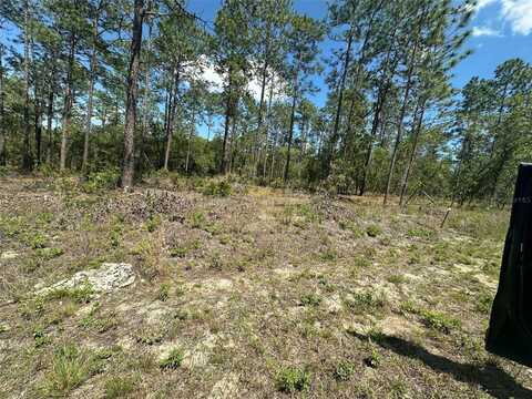 Alvarez Road, Dunnellon, FL 34431