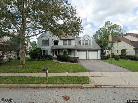 Sweet Gum, LAFAYETTE HILL, PA 19444