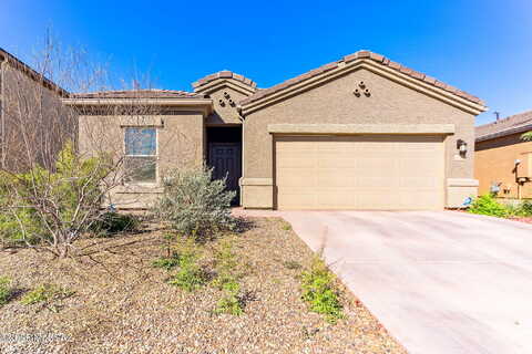 Arroyo Lupine, MARANA, AZ 85653
