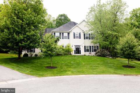 Holly, ORWIGSBURG, PA 17961