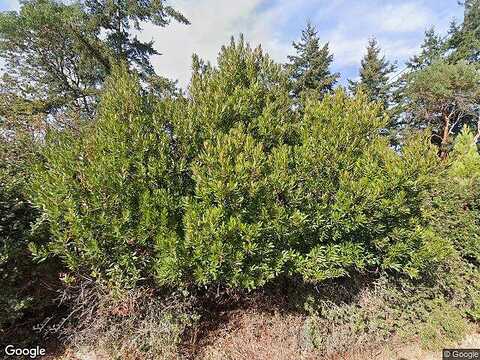 Reed, PORT TOWNSEND, WA 98368