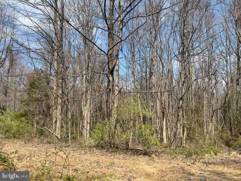 Winfield Rd, Fairfax, VA 22030