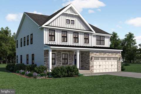 Elderberry, CHELTENHAM, PA 19012