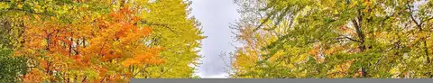 Deer Trail, Saginaw, MI 48638