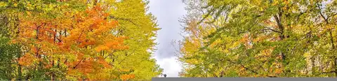 Foxwood Drive, Saginaw, MI 48638