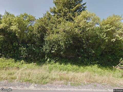Queets, OCEAN SHORES, WA 98569