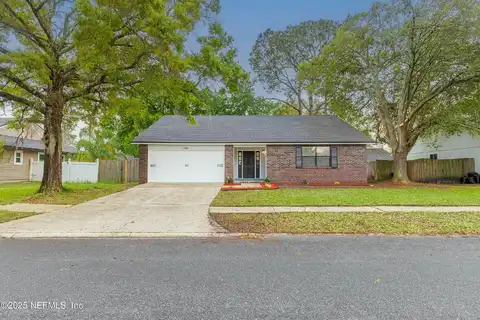 Morgan Horse, JACKSONVILLE, FL 32257