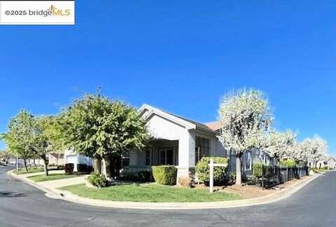 Cellini, BRENTWOOD, CA 94513
