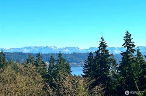 161St, BELLEVUE, WA 98008