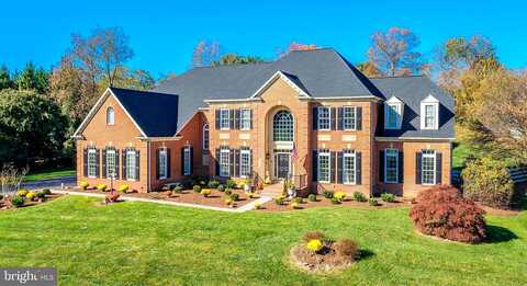 Polo, GREAT FALLS, VA 22066
