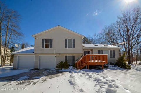 Shadblow, POCONO SUMMIT, PA 18346