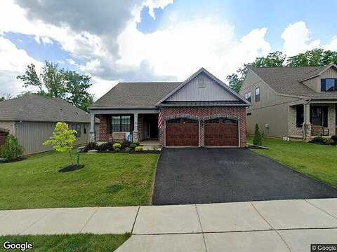 Daylily, EMMAUS, PA 18049