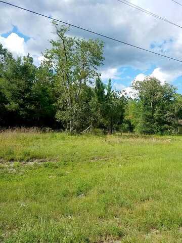 Highway 40, SILVER SPRINGS, FL 34488