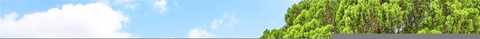 South, TAMPA, FL 33603