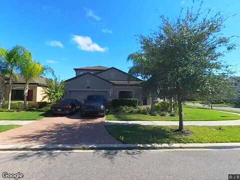 Sea Myrtle, TAMPA, FL 33647