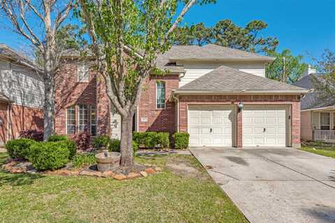 Eastern Redbud, HOUSTON, TX 77044