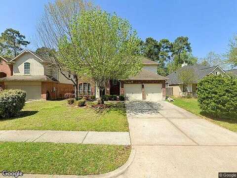Eastern Redbud, HOUSTON, TX 77044