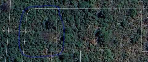 452 Blue Velvet Dr, Lake Placid, FL 33852
