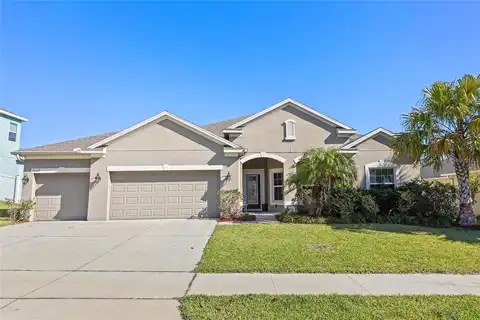 Zander, GRAND ISLAND, FL 32735