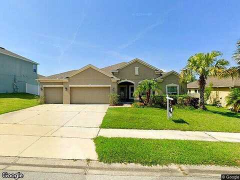 Zander, GRAND ISLAND, FL 32735