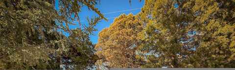 Idlewild, RENO, NV 89509