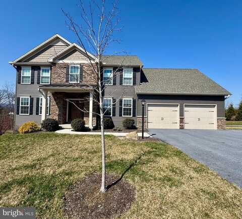 White Birch, HARRISBURG, PA 17112